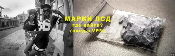 мяу мяу мука Абаза