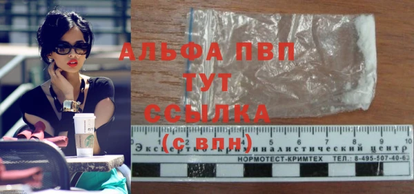мяу мяу мука Абаза