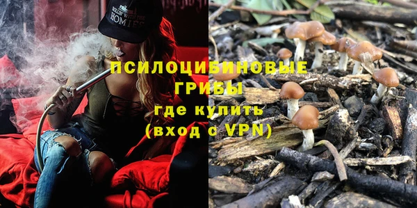спайс Абдулино