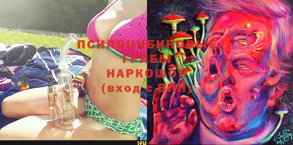 мяу мяу мука Абаза