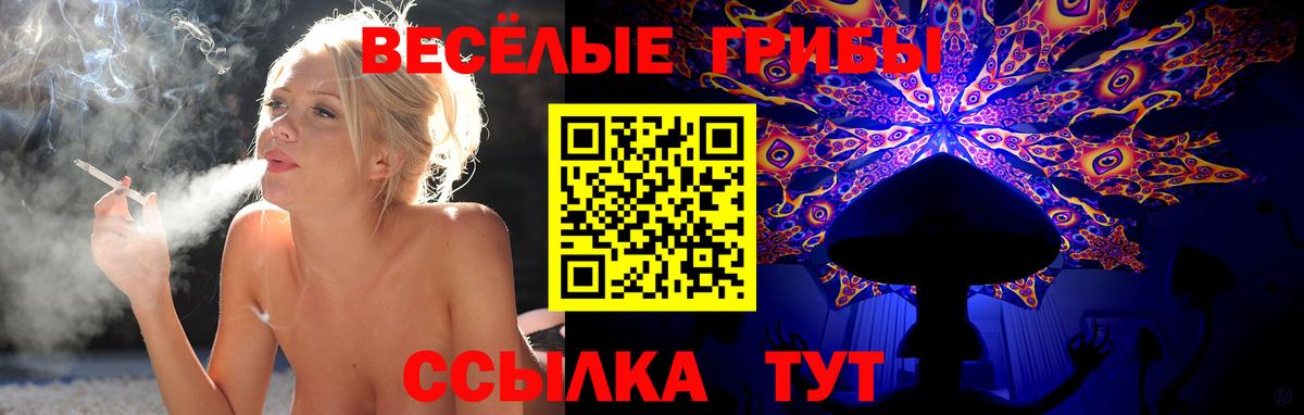 Псилоцибиновые грибы мицелий Уфа